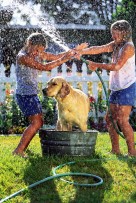 Girls Spraying Each Other While Washing Dog
