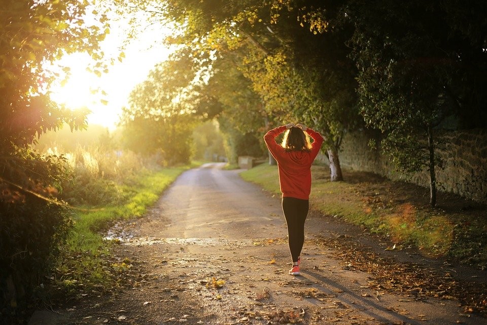 person walking on road near woods