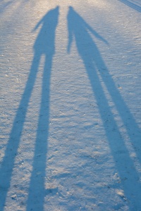 Winter shadows in the snow.
