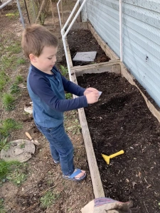 A child planting seeds in a garden bed